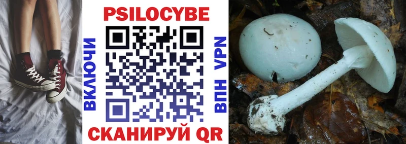 Купить где  Плавск  Галлюциногенные грибы MAGIC MUSHROOMS 